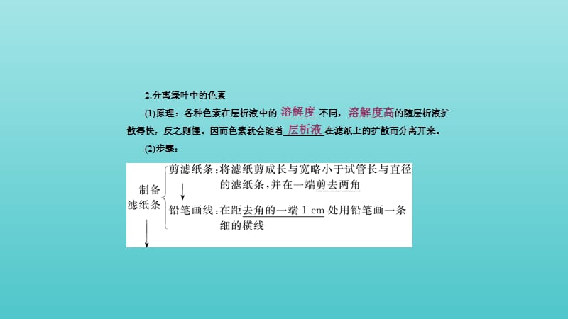 2019高中生物第5章第4节第1课件时捕获光能的色素和结构课件新人教版必修1.ppt_第3页