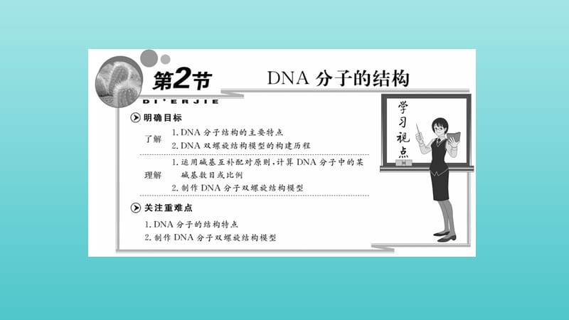 2019高中生物第3章第2节DNA分子的结构课件新人教版必修2.ppt_第2页