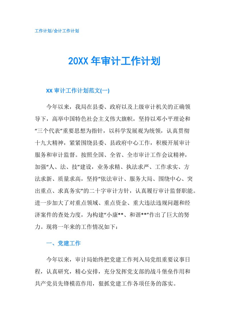 20XX年审计工作计划.doc_第1页