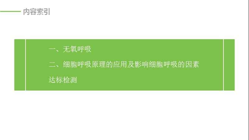 2019-2020学年新素养人教版高中生物必修一课件：第5章 细胞的能量供应和利用 第3节 第2课时 .pptx_第3页