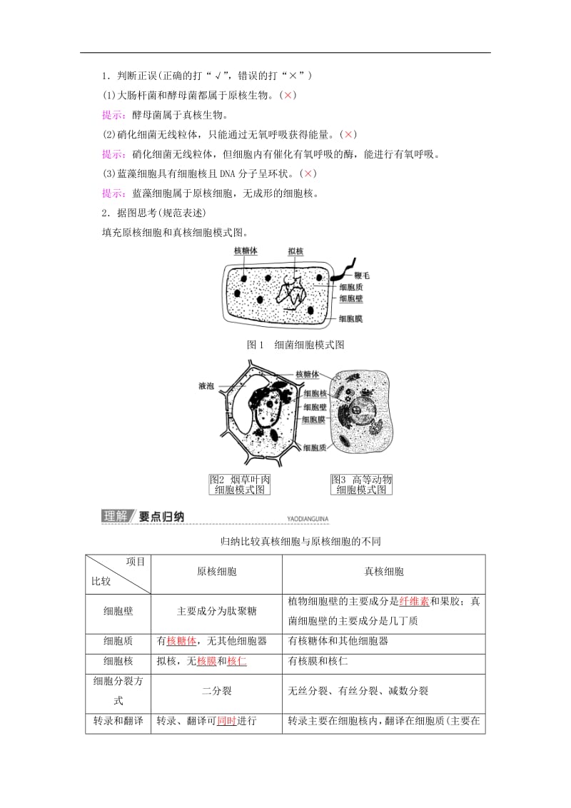 2020版高考生物一轮复习第2单元第1讲生命活动的基本单位__细胞教学案苏教版必修.pdf_第2页