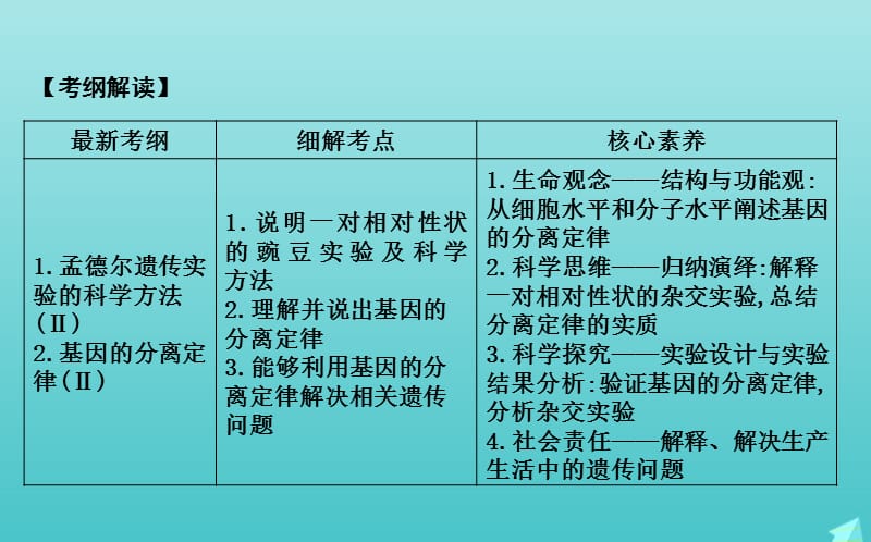 2020版高考生物总复习第14讲基因的分离定律课件新人教版.ppt_第2页