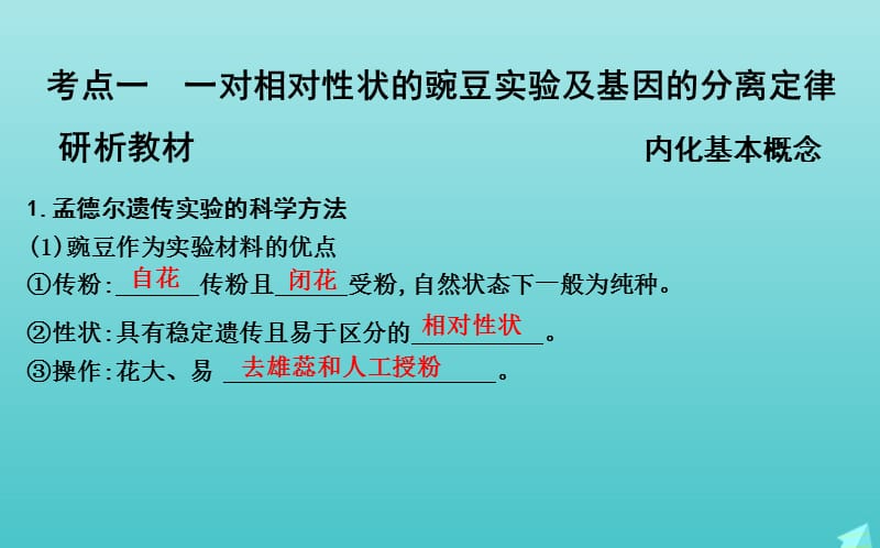 2020版高考生物总复习第14讲基因的分离定律课件新人教版.ppt_第3页