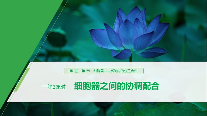 2019-2020学年新素养人教版高中生物必修一课件：第3章 细胞的基本结构 第2节 第2课时 .pptx_第1页