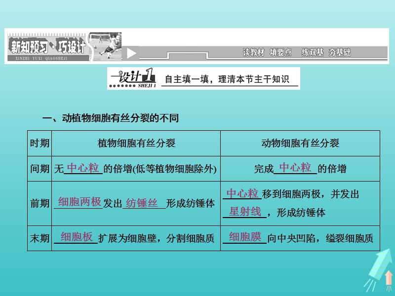 2019高中生物第6章第1节第2课件时动植物细胞有丝分裂的区别和相关曲线观察根尖分生组织细胞的有丝分裂课件新人教版必修1.ppt_第2页