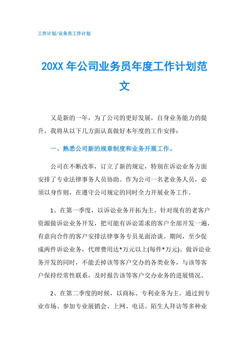 20XX年公司业务员年度工作计划范文.doc_第1页