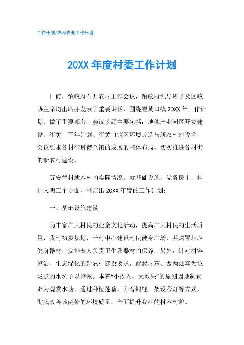 20XX年度村委工作计划.doc_第1页