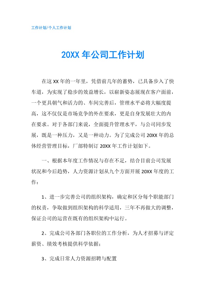 20XX年公司工作计划.doc_第1页