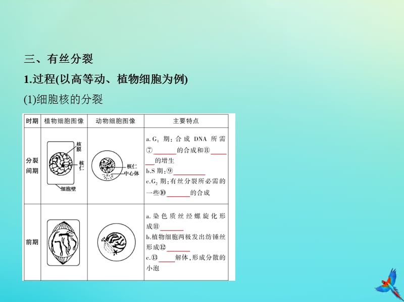 （5年高考3年模拟A版）浙江省2020年高考生物总复习专题7细胞的增殖课件.pptx_第3页