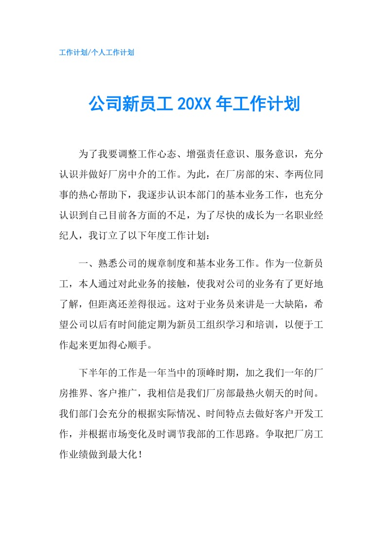 公司新员工20XX年工作计划.doc_第1页