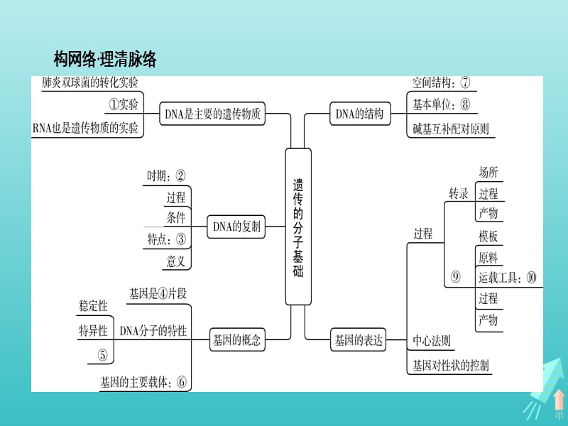 江苏省2020高考生物大一轮复习第6单元第1讲DNA是主要的遗传物质课件.ppt_第2页