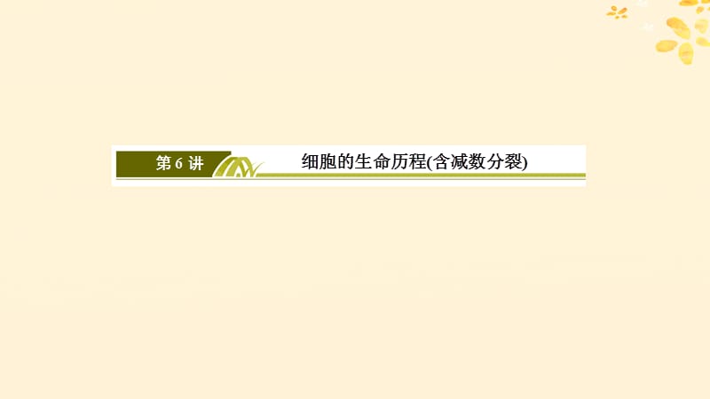 2019年高考生物大二轮复习第6讲细胞的生命历程含减数分裂课件.ppt_第3页