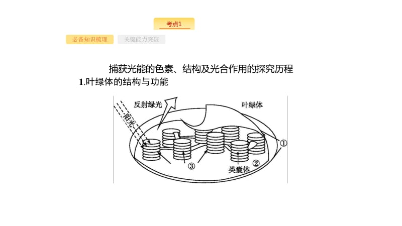 2020版新设计生物人教版大一轮复习课件：第3单元细胞的能量供应和利用 10 .pdf_第3页