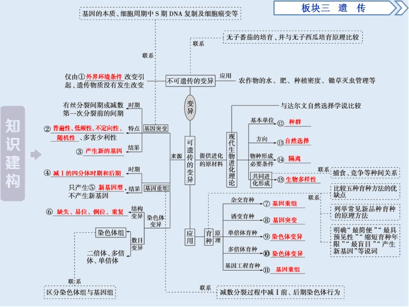 2019年高考生物二轮课件：专题八　变异、育种和进化 .ppt_第3页