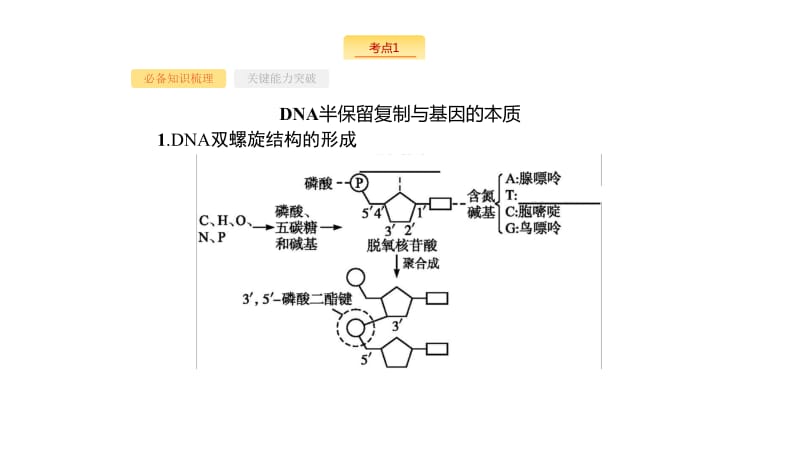 2020版新设计生物人教版大一轮复习课件：第5单元遗传的分子基础 16 .pdf_第3页