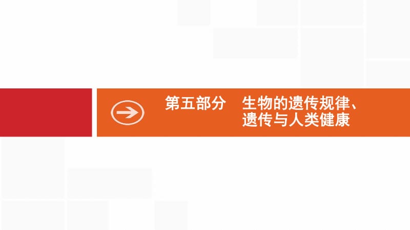 2020版生物新优化浙江大一轮课件：第五部分 生物的遗传规律 14 .pdf_第1页