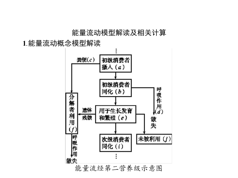 2020版广西高考生物人教一轮复习课件：高考提分微课（七） .pdf_第2页