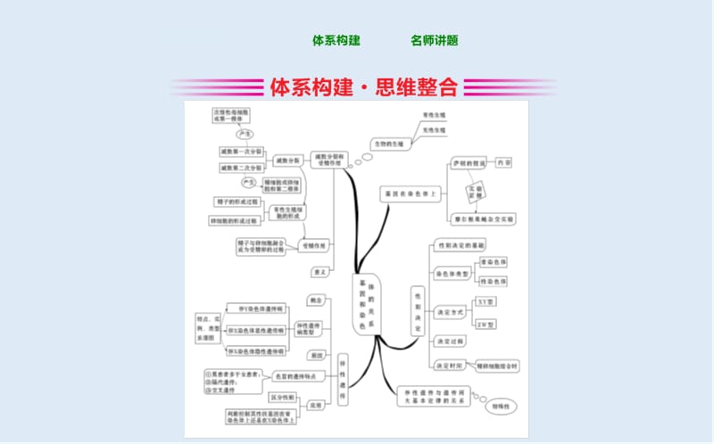 2019-2020学年高中人教版生物必修二课件：第二章 基因和染色体的关系2.单元归纳提升课 .ppt_第2页