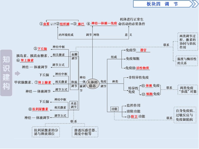 2019年高考生物二轮课件：专题十　人体的内环境与稳态 .ppt_第3页