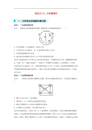 2019届高考生物专题十九分析碳循环精准培优专练.doc