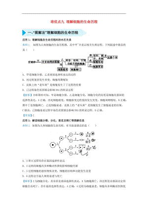 2019届高考生物专题九理解细胞的生命历程精准培优专练.doc