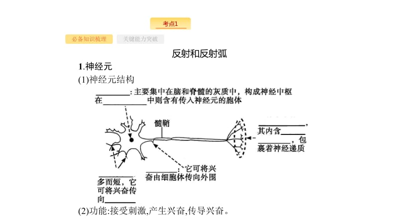 2020版新设计生物人教版大一轮复习课件：第8单元稳态与调节 26 .pdf_第3页