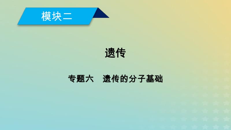 2019高考生物大二轮复习专题六遗传的分子基次件2.pdf_第1页