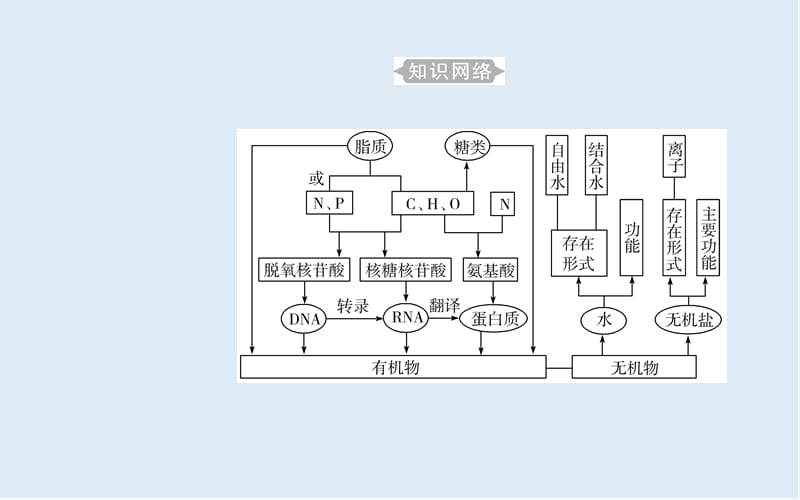 2019_2020年生物高中学业水平测试课件：专题一考点1蛋白质、核酸的结构和功能 .ppt_第3页