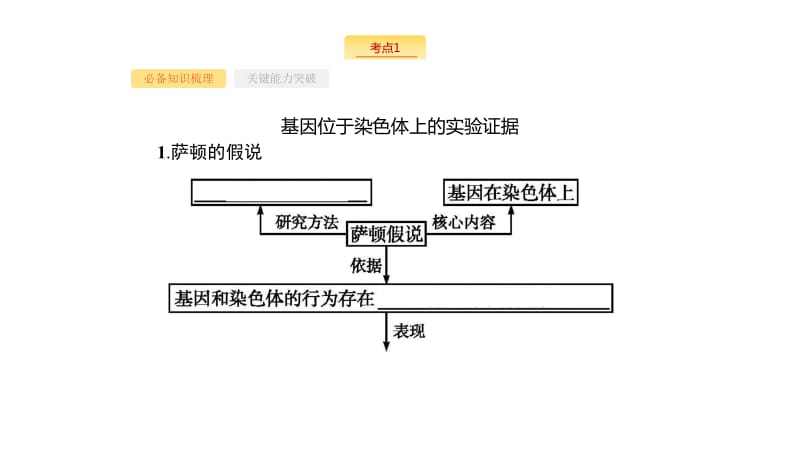 2020版新设计生物人教版大一轮复习课件：第6单元孟德尔定律与伴性遗传 20 .pdf_第3页