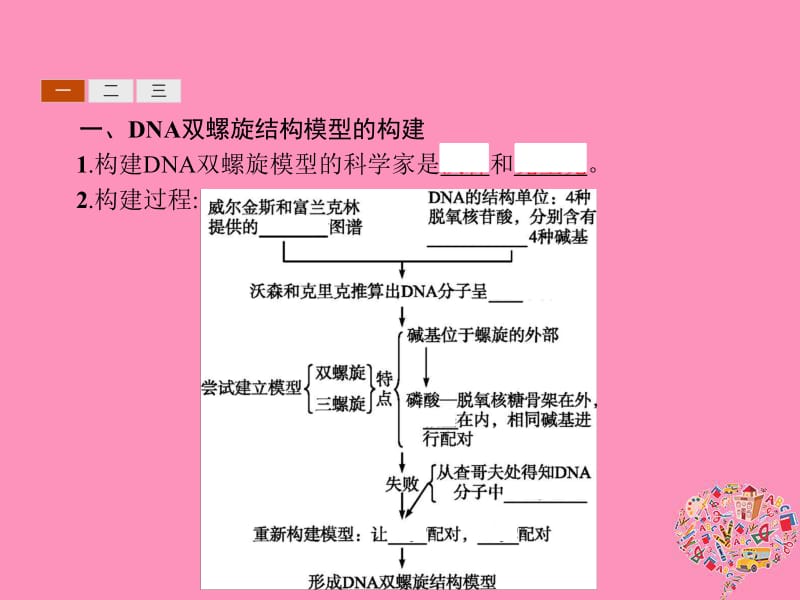 2019年秋高中生物第3章基因的本质3.2DNA分子的结构课件新人教版必修2.pdf_第3页