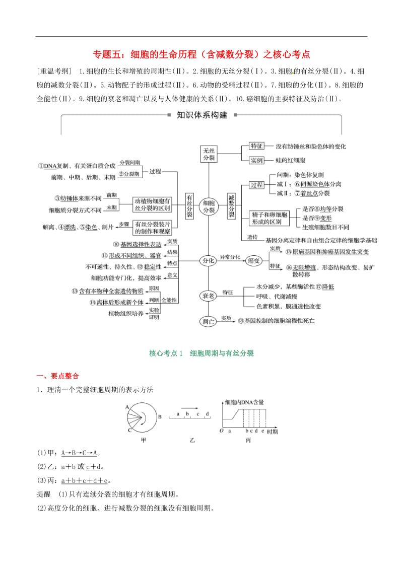 2020年高考生物二轮复习核心考点之提分冲刺专题05细胞的生命历程含减数分裂_114.doc_第1页