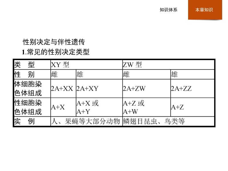 2019年秋高中生物人教版必修二精品课件：第2章 基因和染色体的关系本章整合2 .pdf_第3页