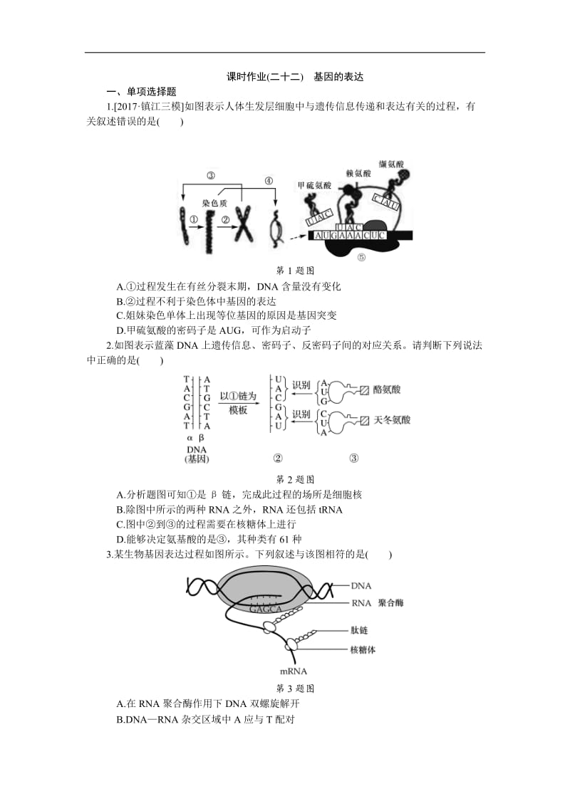 2019年高考生物（江苏专用）一轮课时作业：（二十二）　基因的表达 Word版含解析.doc_第1页