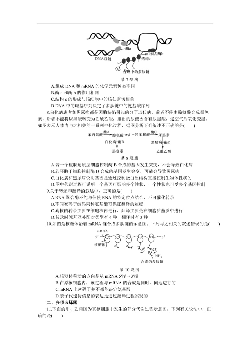 2019年高考生物（江苏专用）一轮课时作业：（二十二）　基因的表达 Word版含解析.doc_第3页