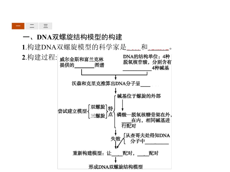 2019年秋高中生物人教版必修二精品课件：第3章 基因的本质3.2 .pdf_第3页