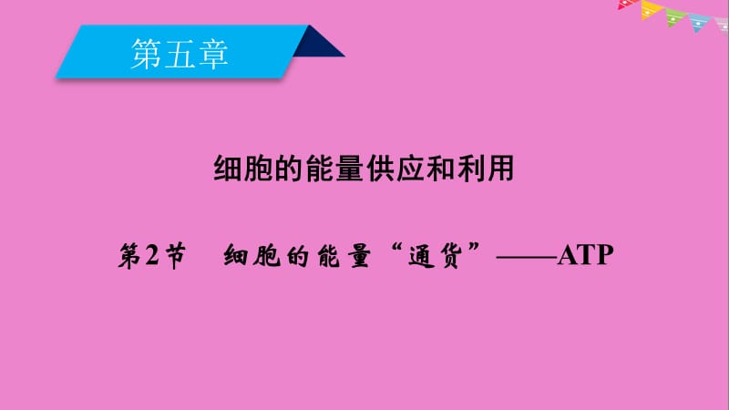 2019版高中生物必修1课件： 第五章 细胞的能量供应和利用 第2节 细胞的能量“通货”——ATP课件 新人教版必修1.ppt_第2页