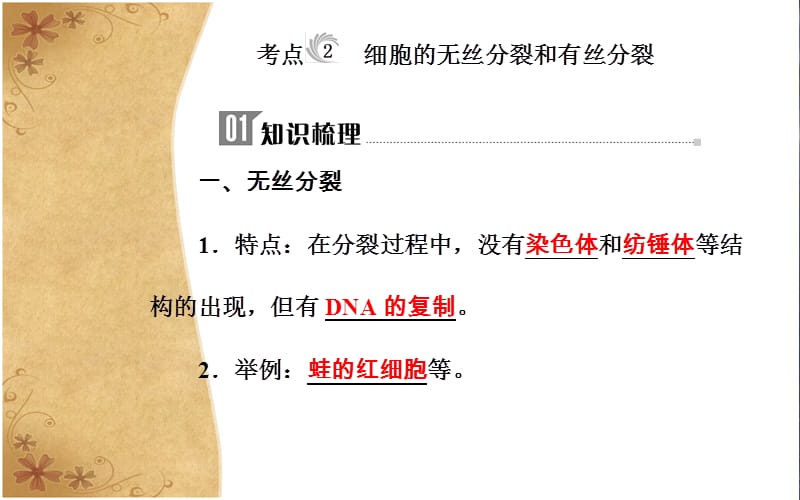 2019高中生物学业水平复习课件：专题四考点2细胞的无丝分裂和有丝分裂 .ppt_第3页