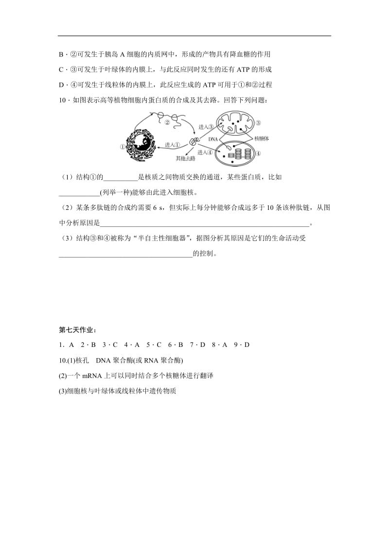 辽宁省沈阳市东北育才学校2019_2020学年高二生物暑假作业：第七天作业 Word版含答案.doc_第3页