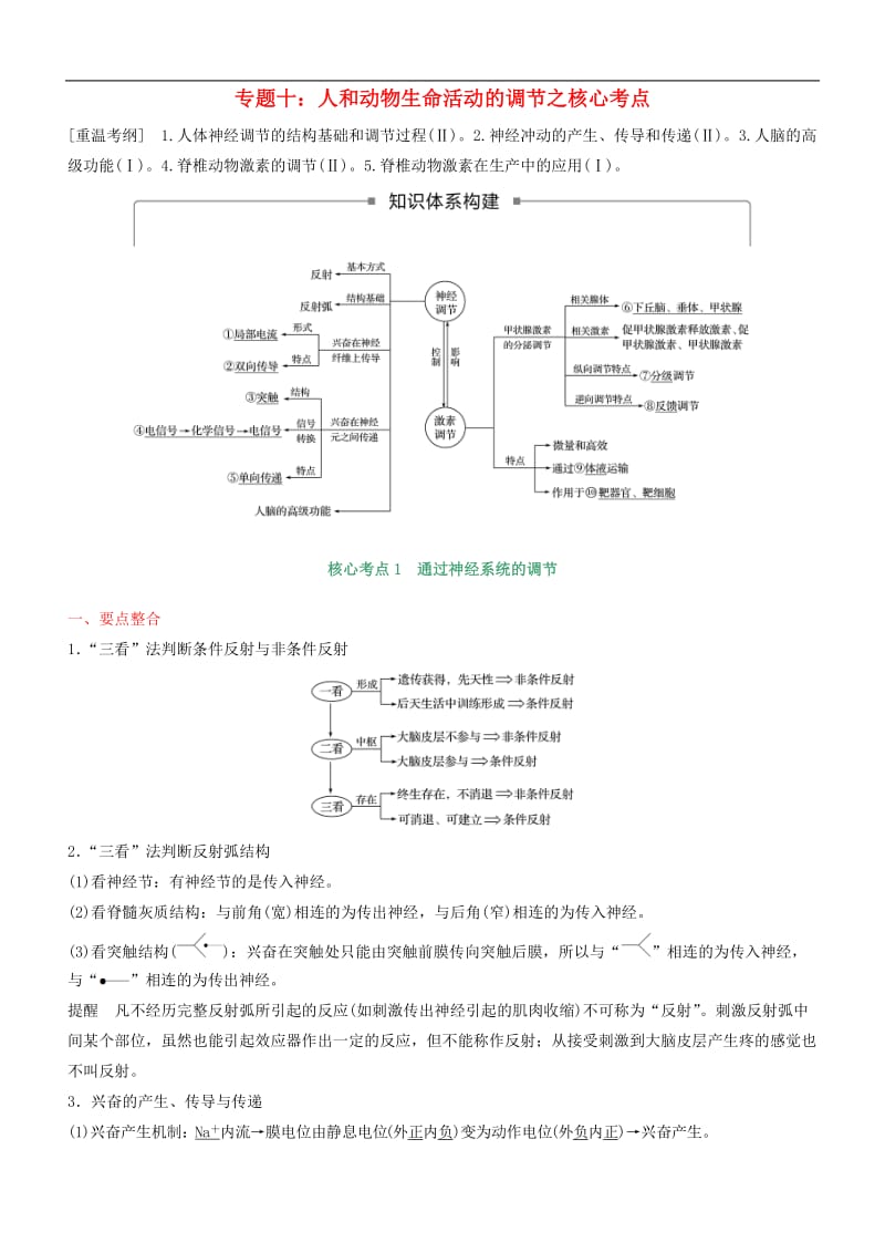 2020年高考生物二轮复习核心考点之提分冲刺专题10人和动物生命活动的调节_119.doc_第1页