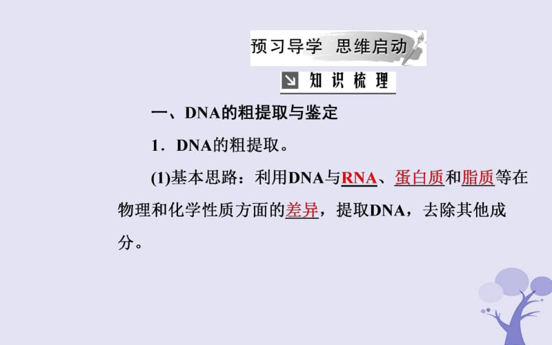 2019_2020学年高中生物专题5DNA和蛋白质技术课题1DNA的粗提取与鉴定课件新人教版选修.pdf_第3页