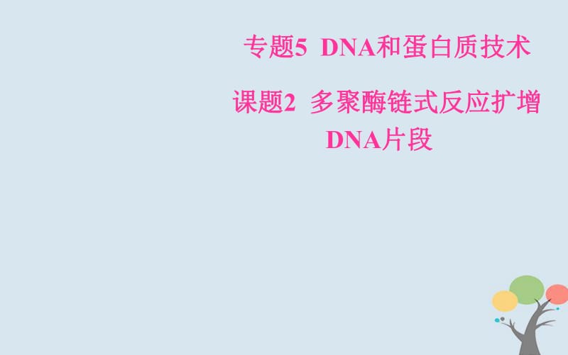 2019_2020学年高中生物专题5DNA和蛋白质技术课题2多聚酶链式反应扩增DNA片段课件新人教版选修.pdf_第1页