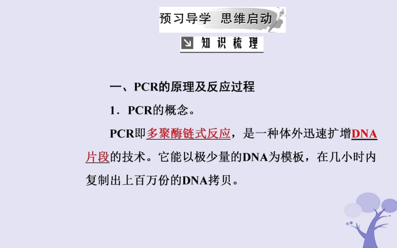 2019_2020学年高中生物专题5DNA和蛋白质技术课题2多聚酶链式反应扩增DNA片段课件新人教版选修.pdf_第3页