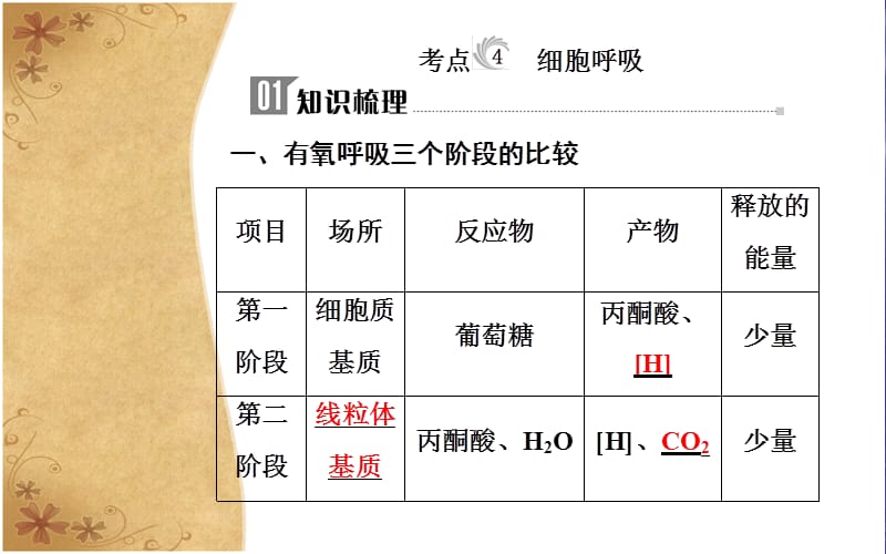 2019高中生物学业水平复习课件：专题三考点4细胞呼吸 .ppt_第3页