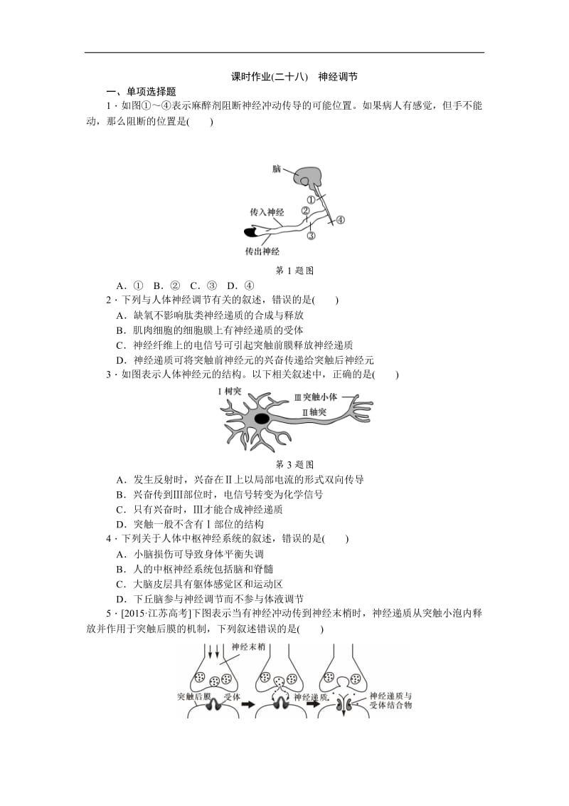 2019年高考生物（江苏专用）一轮课时作业：（二十八）　神经调节 Word版含解析.doc_第1页