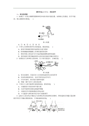 2019年高考生物（江苏专用）一轮课时作业：（二十八）　神经调节 Word版含解析.doc