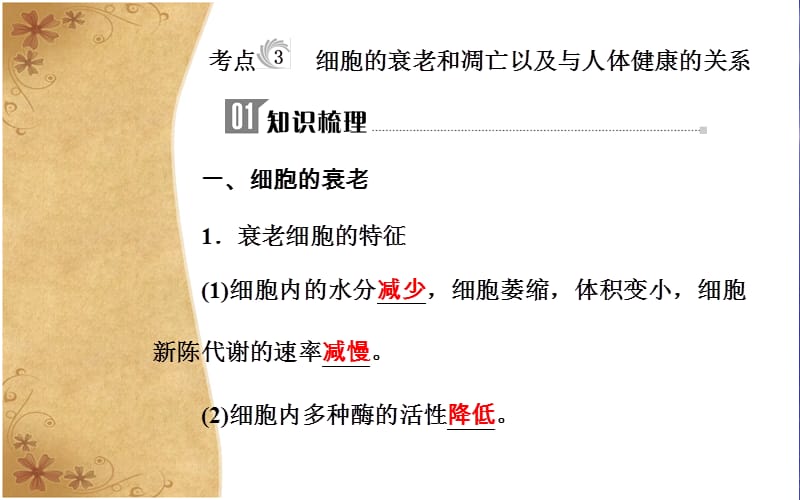 2019高中生物学业水平复习课件：专题五考点3细胞的衰老和凋亡以及与人体健康的关系 .ppt_第3页