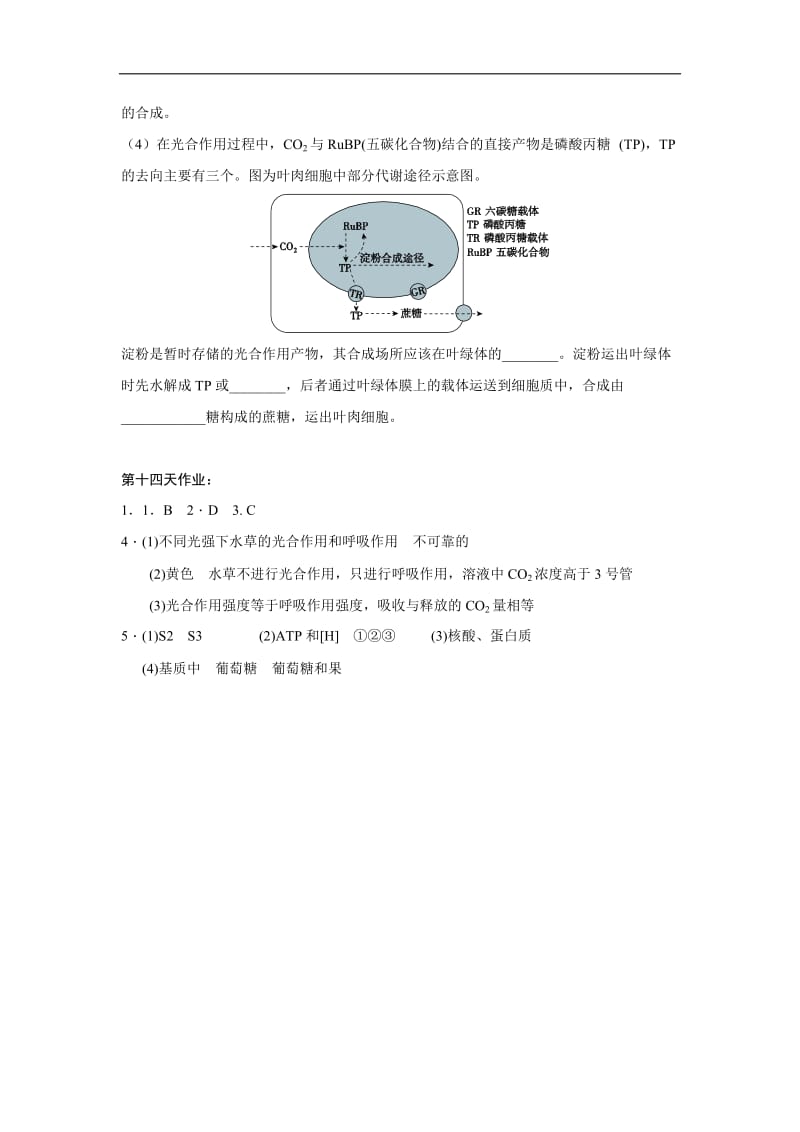 辽宁省沈阳市东北育才学校2019_2020学年高二生物暑假作业：第十四天作业 Word版含答案.doc_第3页