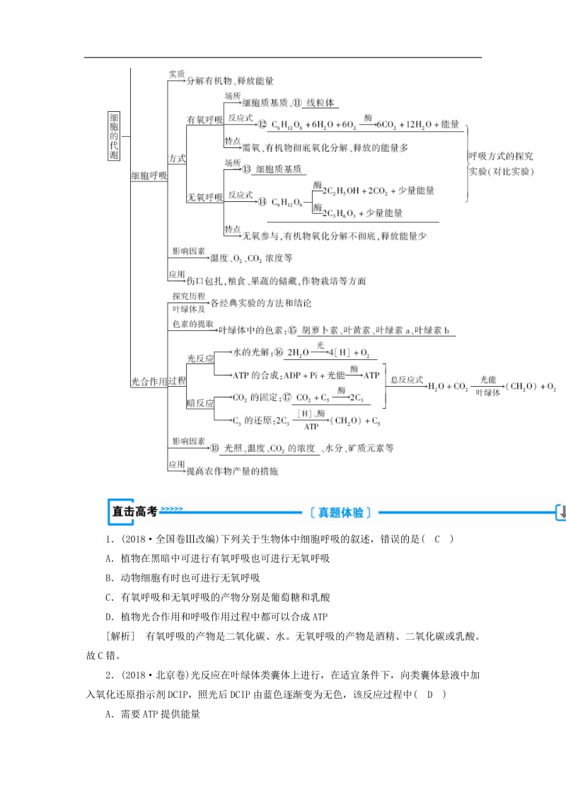 2019年秋高中生物第五章细胞的能量供应和利用本章整合学案新人教版必修.doc_第2页