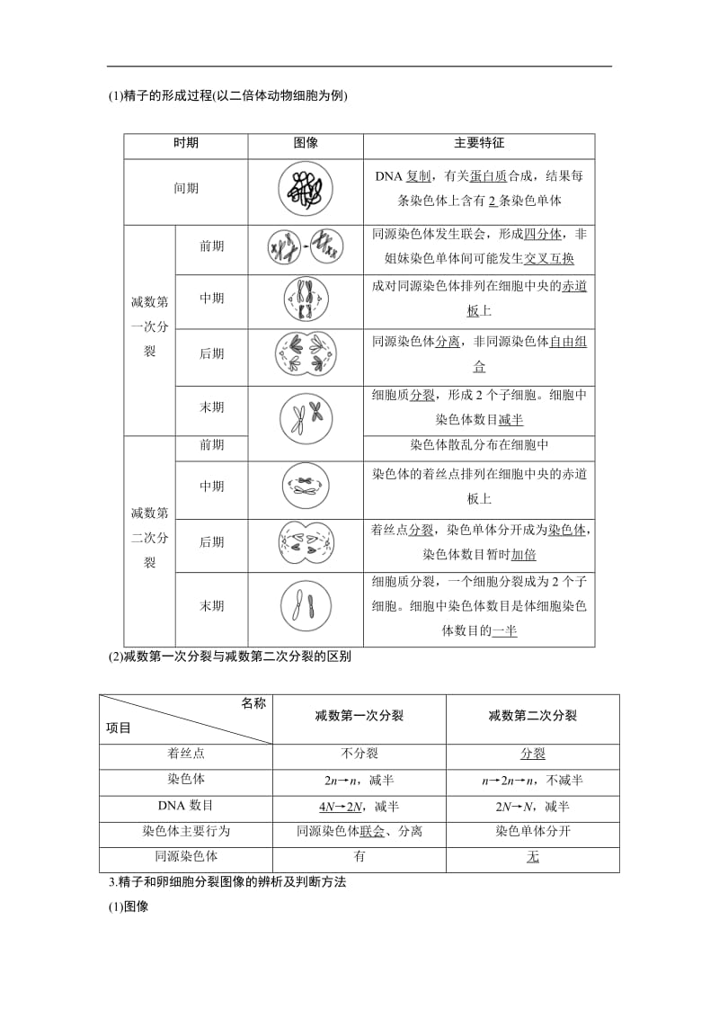 2019届高中生物一轮复习方案讲义：第4单元 2 第13讲减数分裂和受精作用 Word版含答案.doc_第2页