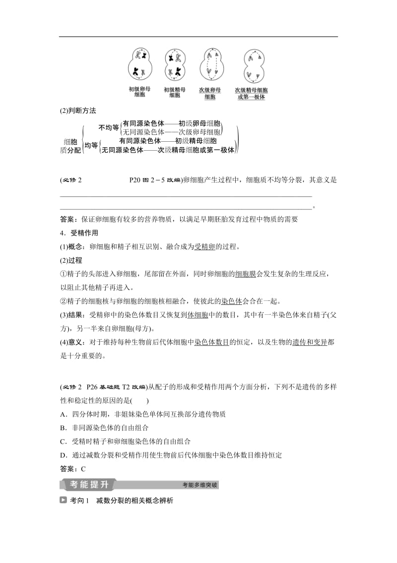 2019届高中生物一轮复习方案讲义：第4单元 2 第13讲减数分裂和受精作用 Word版含答案.doc_第3页